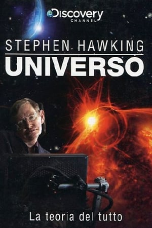 Poster Universo - La teoria del tutto 2009