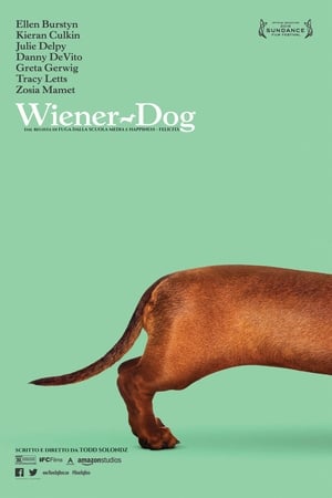Poster Wiener-Dog 2016