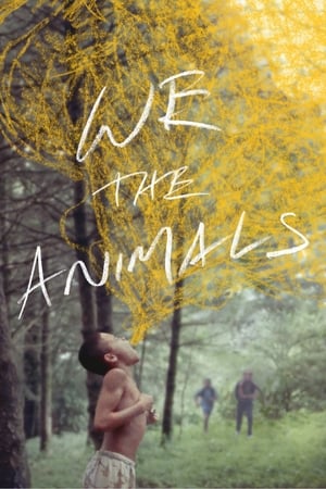 Poster My, zwierzęta 2018