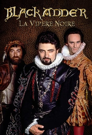 Poster La Vipère noire 1983