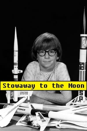 Image Stowaway to the Moon