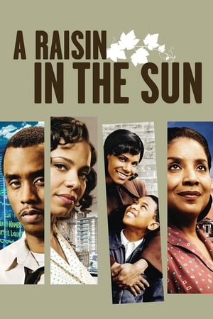 Poster A Raisin in the Sun 2008