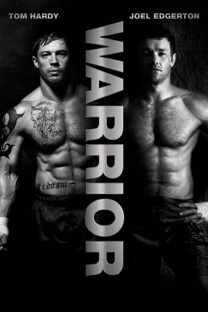 Poster Warrior 2011