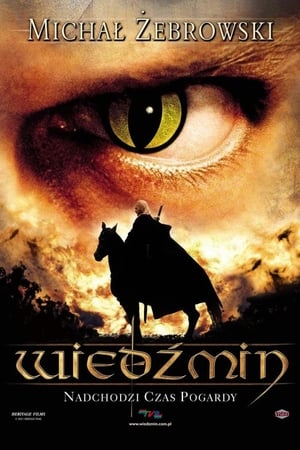 Poster Wiedźmin 2001