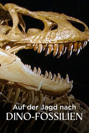 Image Auf der Jagd nach Dino-Fossilien