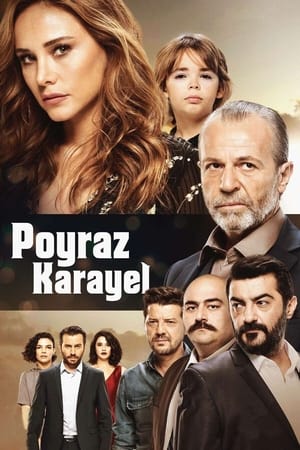 Poster Poyraz Karayel 3. évad 12. epizód 2016