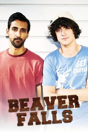 Poster Beaver Falls 2011
