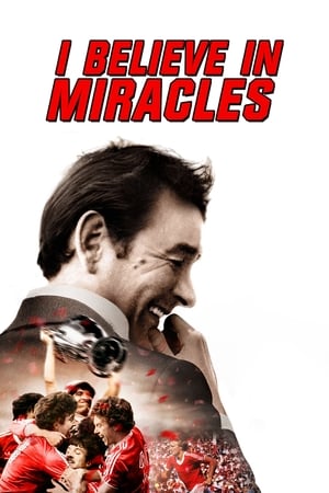 Poster I Believe in Miracles 2015