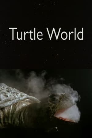 Poster Turtle World 1997