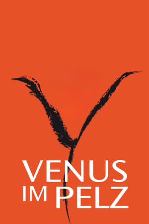 Poster Venus im Pelz 2013