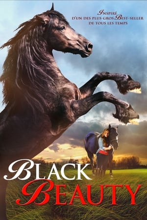 Poster Black Beauty 2015