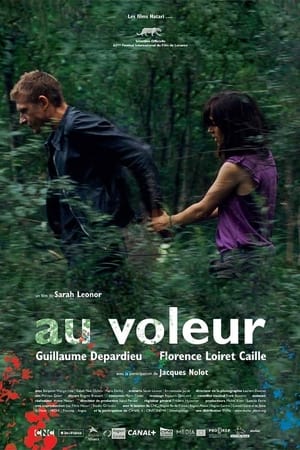 Poster Au voleur 2009