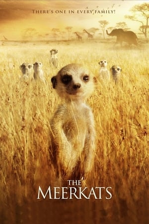 Poster The Meerkats 2008