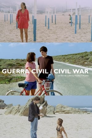 Poster Guerra Civil 2010
