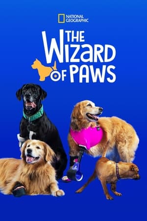 Poster The Wizard of Paws 2020
