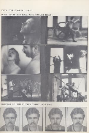 Poster 花贼 1962