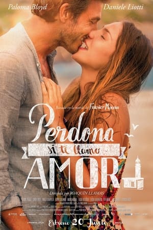 Poster Perdona si te llamo amor 2014