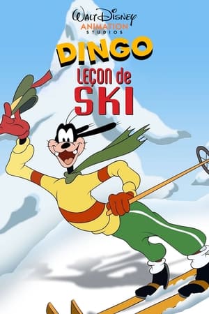 Image Leçon de Ski