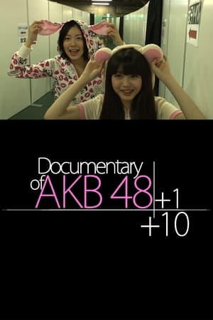 Poster Documentary of AKB48: AKB48+1+10 2013