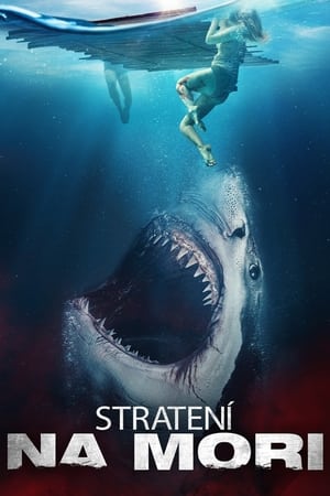 Poster Stratení na mori 2022
