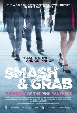Image Smash and Grab: The Story of the Pink Panthers