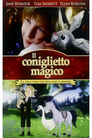 Poster Il coniglietto magico 2009