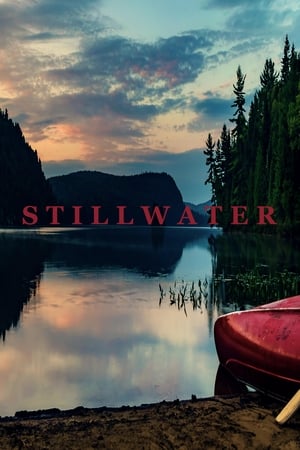 Poster Stillwater 2018