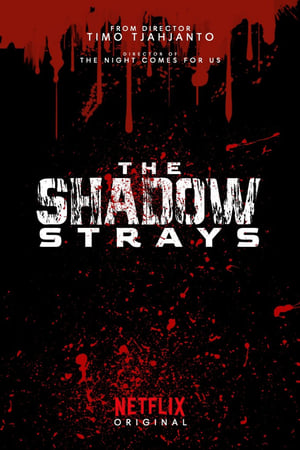 Poster The Shadow Strays 