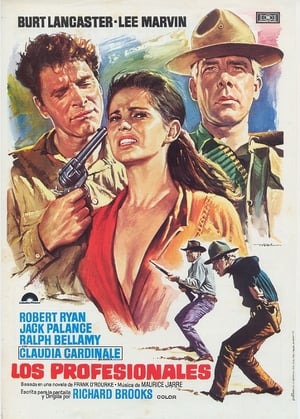 Poster Los profesionales 1966