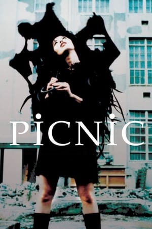 Poster PiCNiC 1996