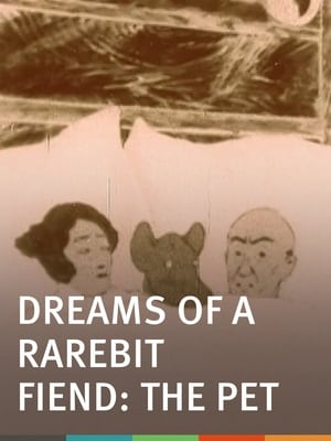 Poster Dreams of the Rarebit Fiend: The Pet 1921