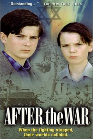 Poster After the War 1989