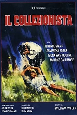 Poster Il collezionista 1965