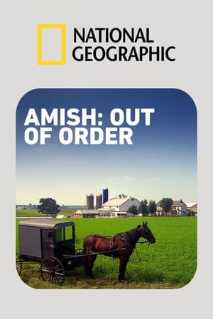 Image Amish: Out of Order