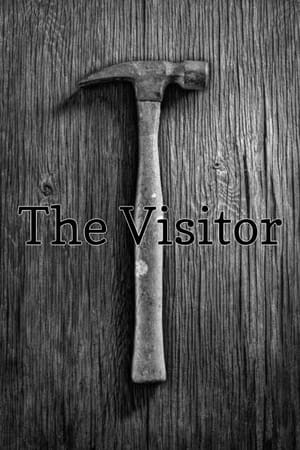 Poster The Visitor 2022
