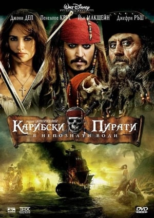 Poster Карибски пирати: В непознати води 2011