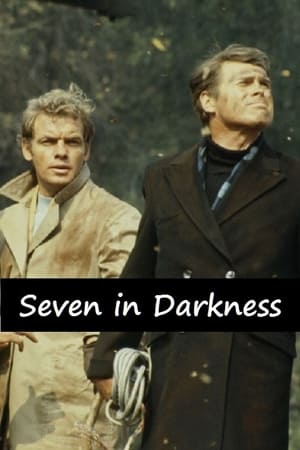 Image Seven in Darkness