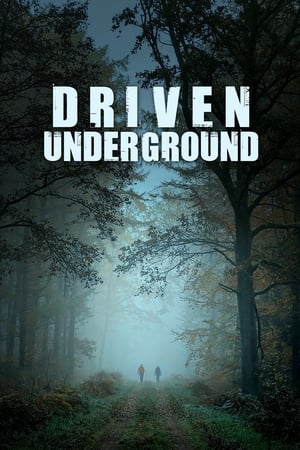 Poster Driven Underground 2015
