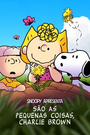 Image Snoopy Apresenta: São as Pequenas Coisas, Charlie Brown