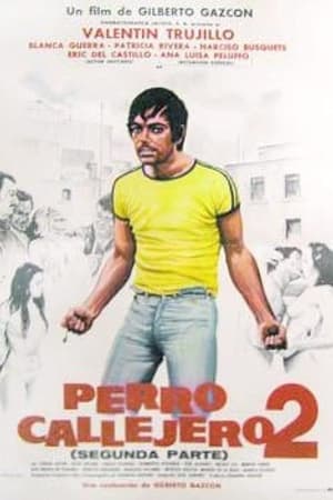 Poster Perro callejero 2 1981