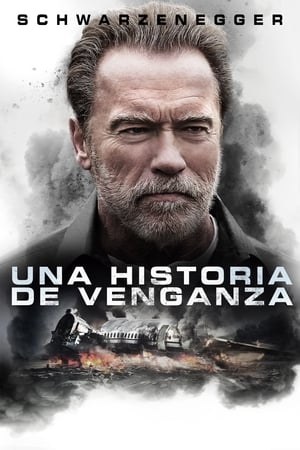 Poster Una historia de venganza 2017