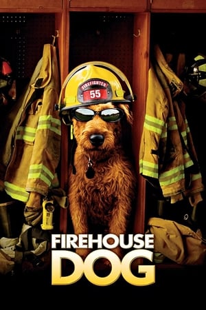 Image Firehouse Dog