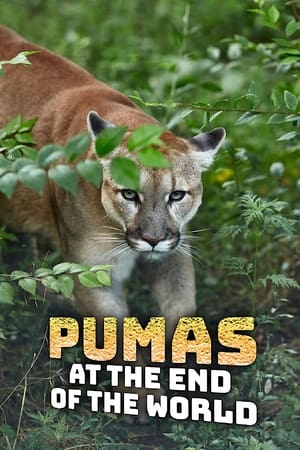 Image Pumas At The End of The World