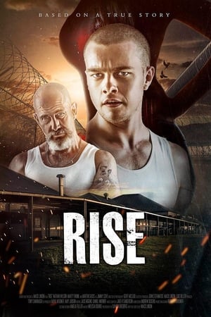 Poster Rise 2014