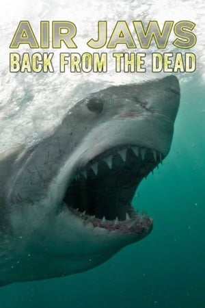 Poster Air Jaws: Back From The Dead 2018