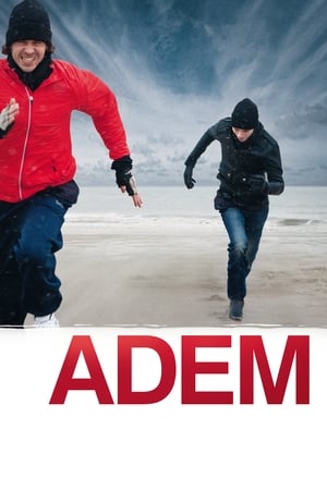Poster Adem 2010