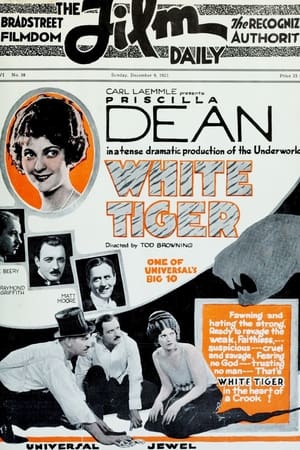 Image Білий тигр