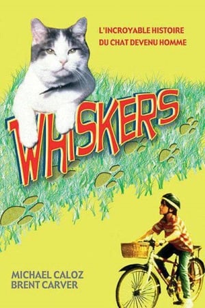Poster Whiskers 1997