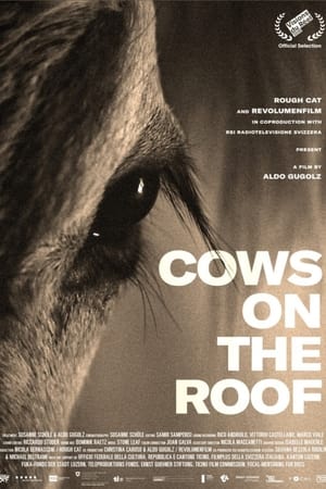 Poster Anche stanotte le mucche danzeranno sul tetto 2020