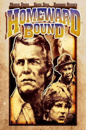 Poster Homeward Bound 1980